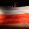zsrakoszyce - Wieczornica